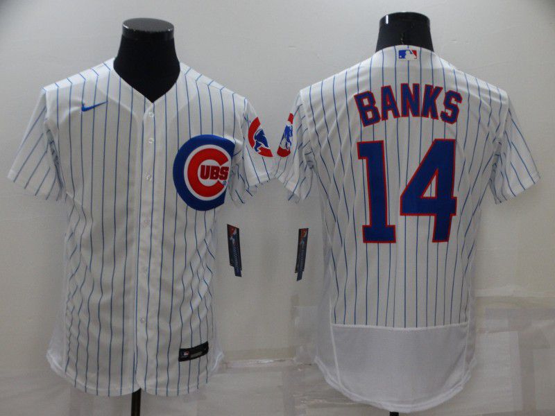 Men Chicago Cubs 14 Banks White Strip Elite 2022 Nike MLB Jersey